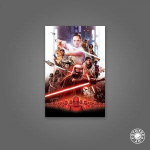 Cuadro decorativo Star Wars Rey